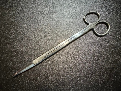 Photo of Padgett P4831 Gorney Plastic Surgery Scissors, STR, 7.25"