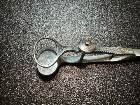 Plate photo of Storz E2604 Demarres Chalazion Forceps, 24mm
