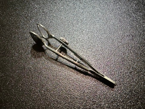 Top photo of Storz E2604 Demarres Chalazion Forceps, 24mm