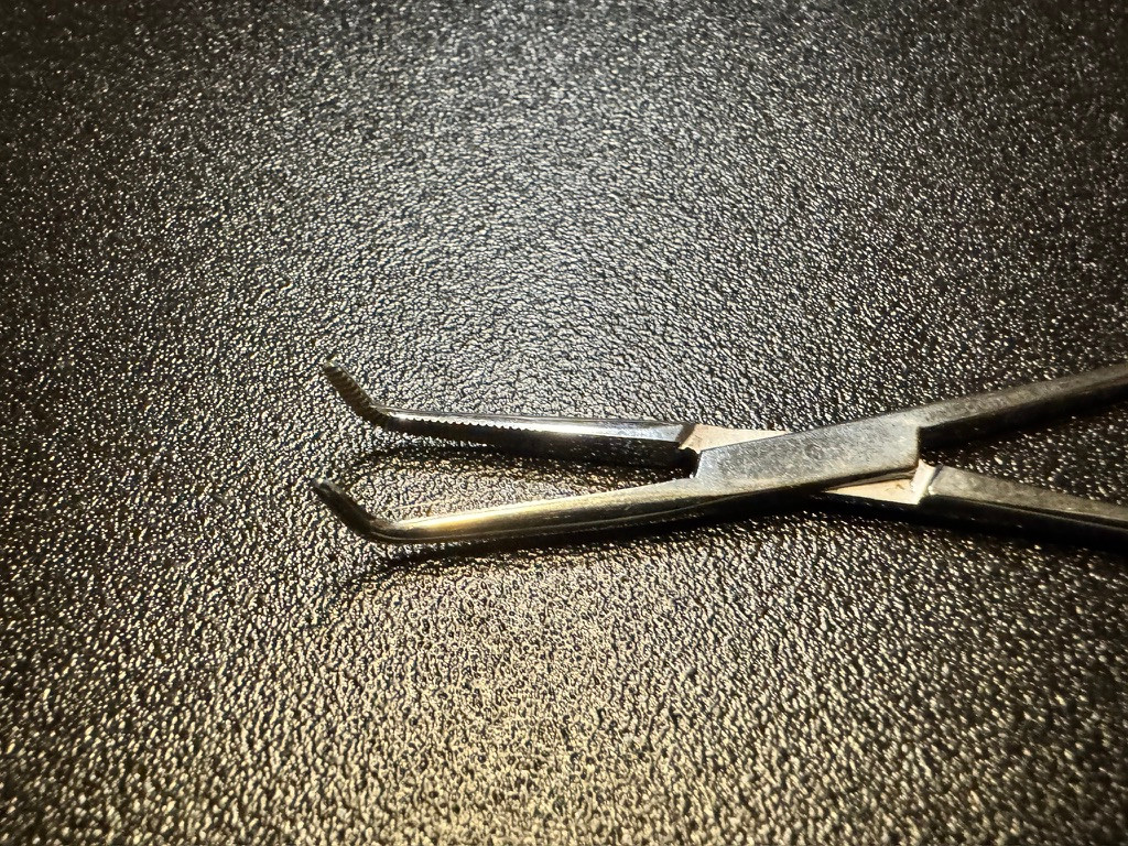 Jaw photo of Codman 30-4485 Mixter Delicate Forceps, 5.25"