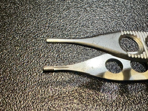 Jaw photo of Miltex 6-124XL Brown-Adson Forceps, Fenestrated, 4.75"