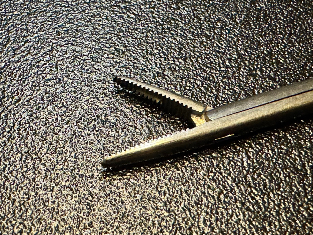 Jaw photo of Jarit 400-170 Noyes Nasal Dressing Forceps, 2.4mm