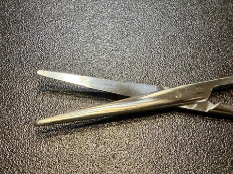 Blade photos of Jarit 415-117 Cottle Dorsal Scissors, 5.75"