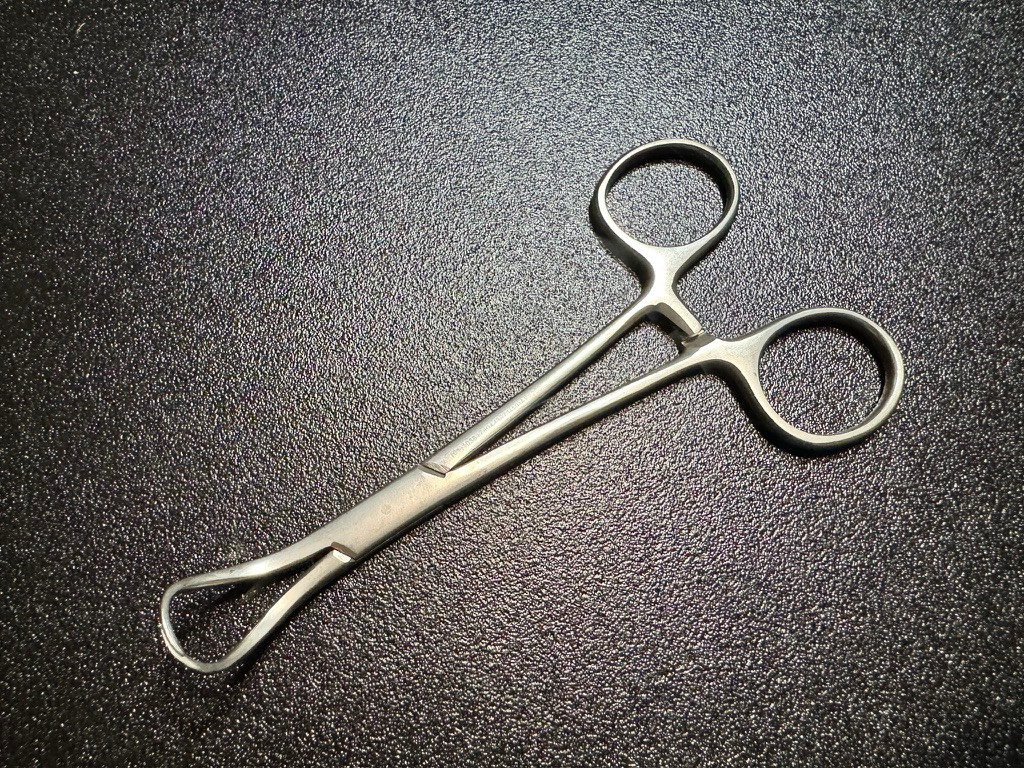 Photo of Jarit 109-102 Backhaus Towel Forceps, 5.25"