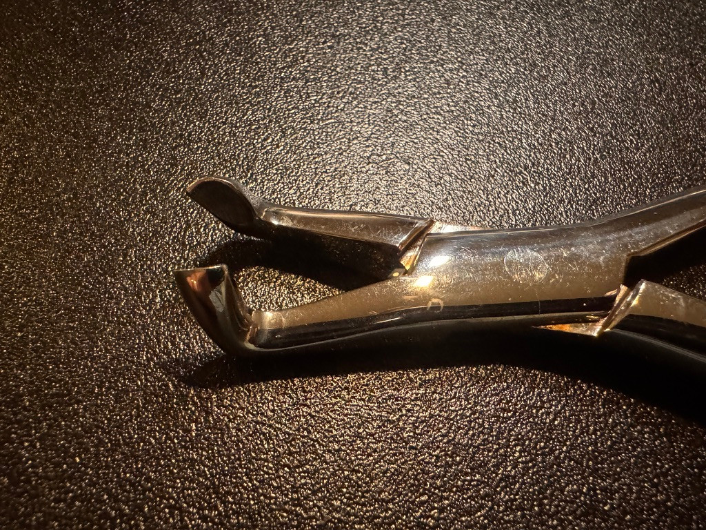Jaw photo of Karl Schumacher 222 Lower Molar Forceps