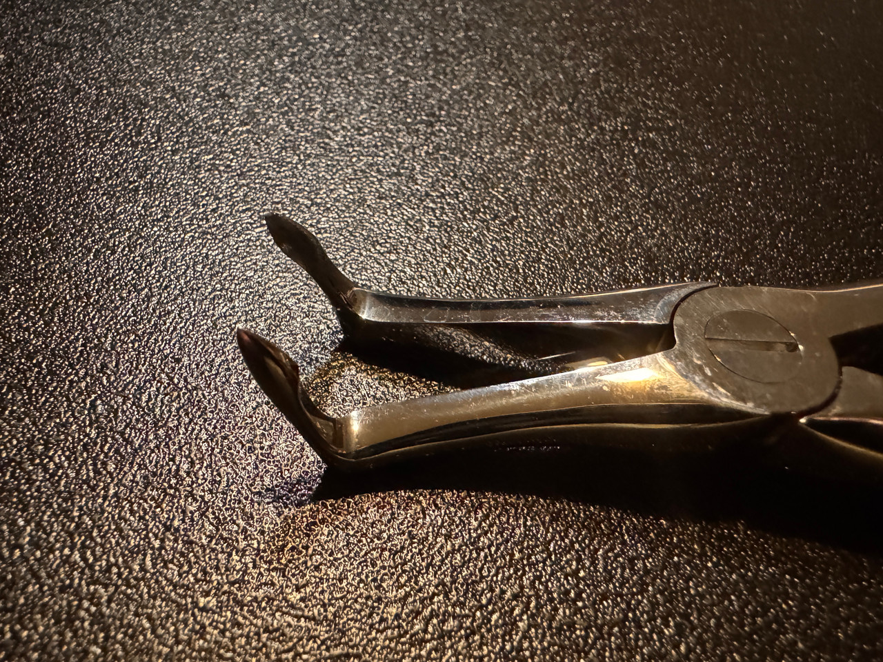 Jaw photo of Karl Schumacher 145E Lower Root Tip Forceps