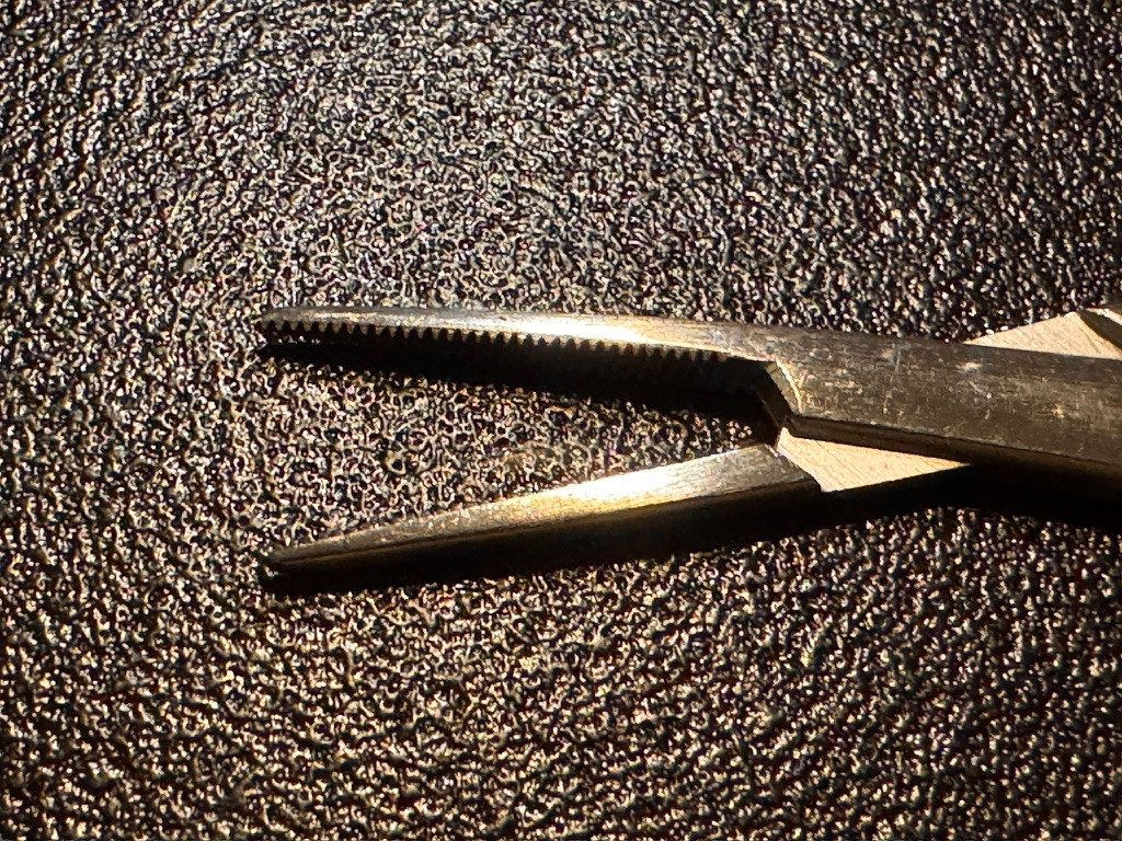 Jaw photo of Jarit 106-100 Halstead Mosquito Forceps, STR, 5"