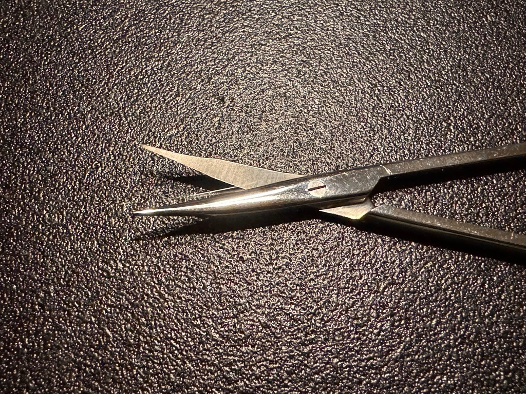 Blade photo of Padgett PM-6860 Supercut Stevens Tenotomy Scissors, CVD, 4.5"