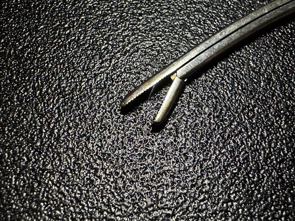 Jaw photo of Padgett P215 Carroll Tendon Retriever Forceps