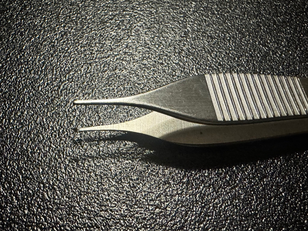 Jaw photo of Miltex 6-120 Adson Tissue Forceps, 1 X 2 Teeth, 4.75"
