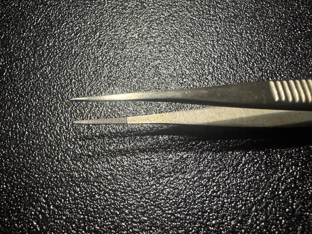 Jaw photo of V. Mueller OP3180 Fine Eye Dressing Forceps