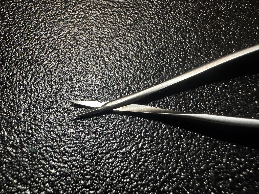 Blade photo of Jarit 360-201 Vannas Capsulotomy Scissors, CVD, Sharp, 3.25"