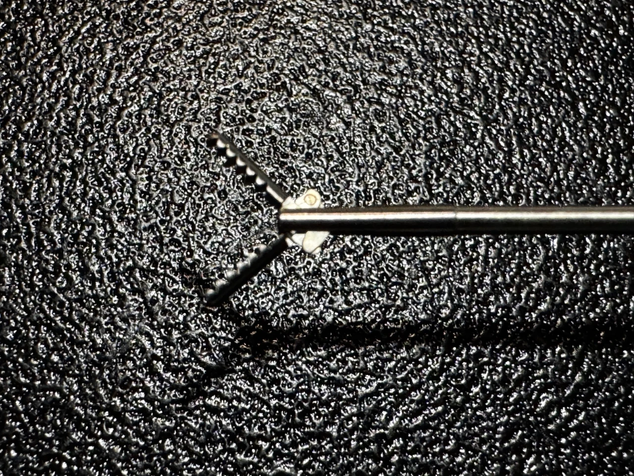 Jaw photo of R. Wolf 86422436  Semi-Rigid Alligator Grasping Forceps, 5 Fr X 340mm