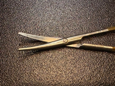 Blade photo of V. Mueller OP5740 KNAPP Strabismus Scissors, TC, CVD, 4.5"