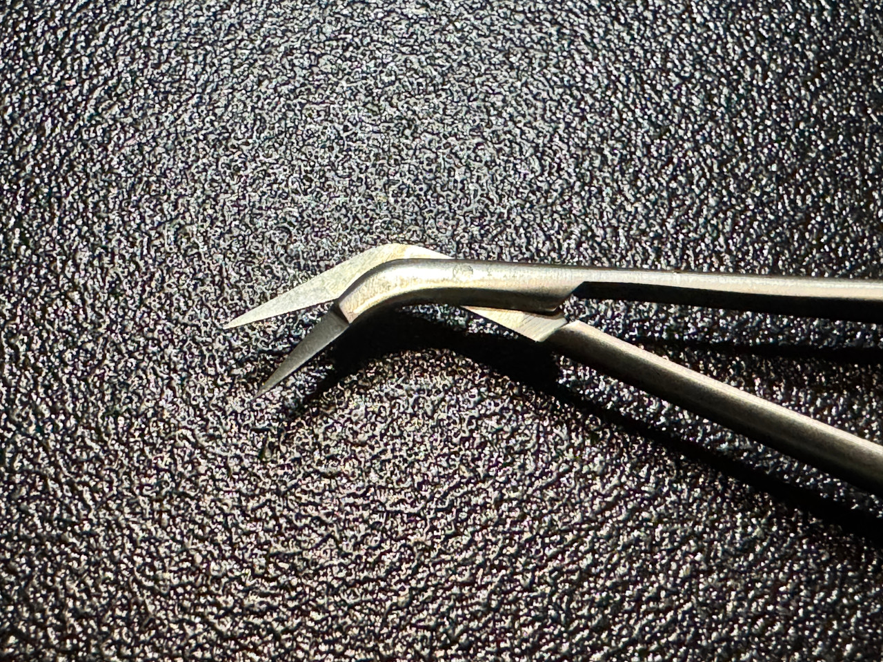 Blade photo of Delacroix-Chevalier 20042-18 Micro Scissors, ANG, 6.5"