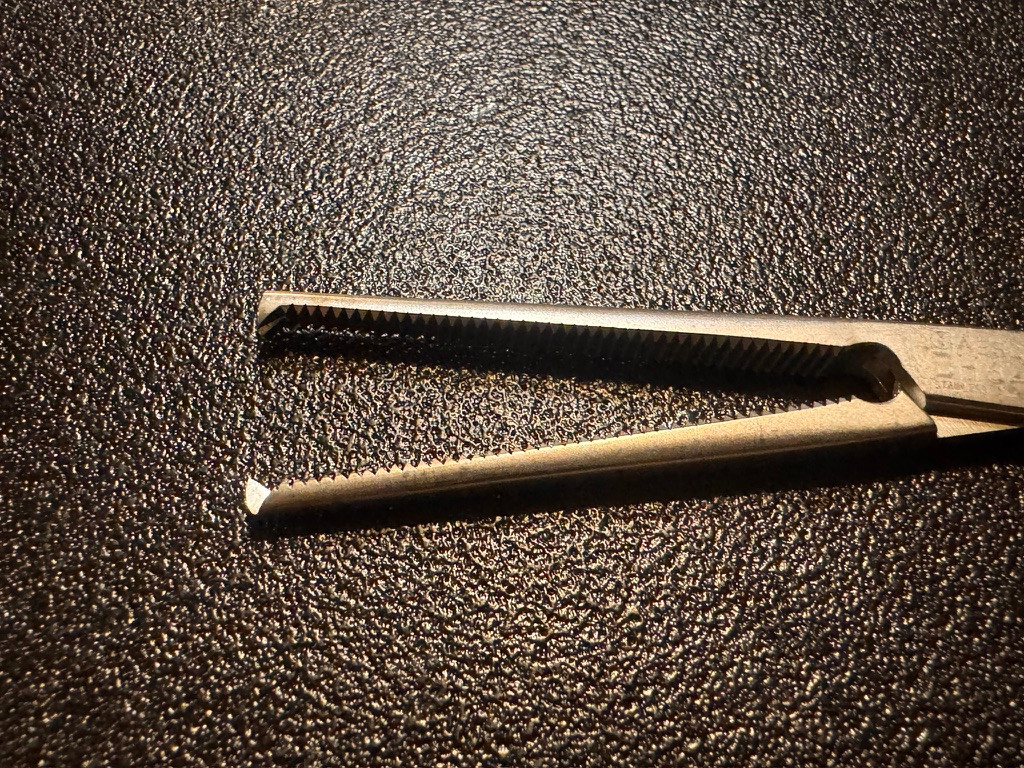 Jaw photo of Aesculap BH642R Kocher-Ochsner Forceps, STR, 1X2, 6.25"