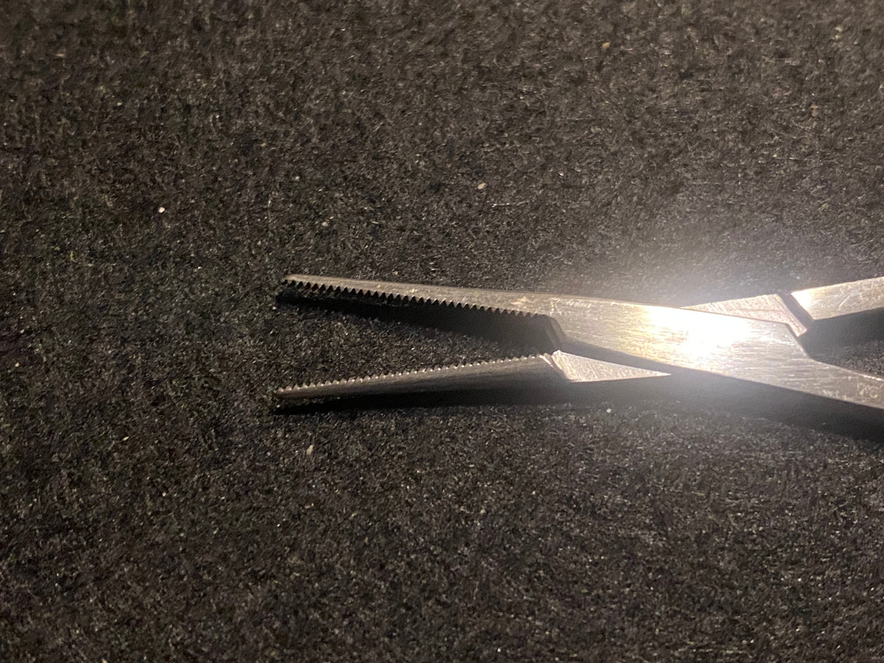 Jaw photo of Jarit 105-088 Petit-Point Jacobson Mosquito Forceps, STR, 5"