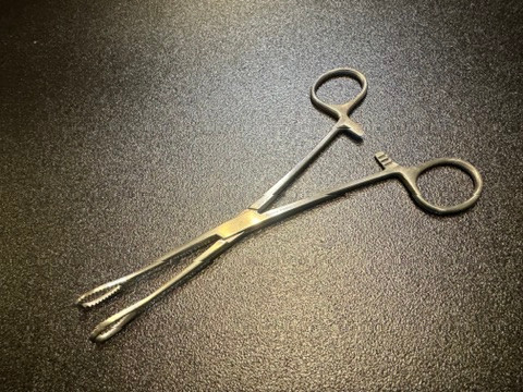 Photo of Jarit 116-102 Foerster Sponge Holding Forceps, STR, 7"