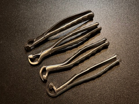 Photo of GoldenMisch GMX 100-200 Physics Forceps Standard Set