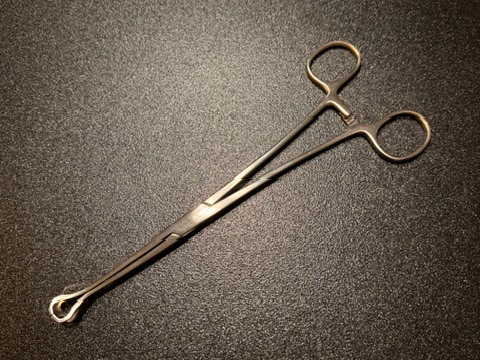 Photo of Konig MDS6416020 Babcock Forceps, 8"
