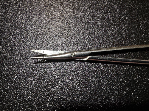 Blade photo of Jarit 415-145 Littler Suture Carrying Scissors, CVD, 4.75"