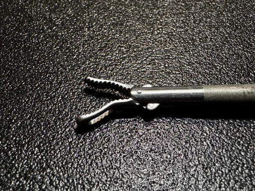 Jaw photo of Storz 26177 VK Laparoscopic Ratchet Adhesion Forceps 5mm X 34cm