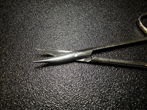 Blade photo of Jarit 360-141 Stevens Tenotomy Scissors, CVD, 4 1/8"