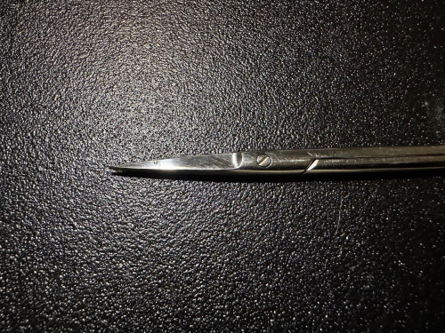 Blade photo of V. Mueller OP5530 Knapp Iris Scissors, Sharp, STR, 4"