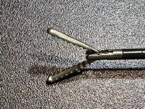 Jaw photo of Aesculap 8360-10 Laparoscopic Atraumatic Grasper, 5mm X 36cm
