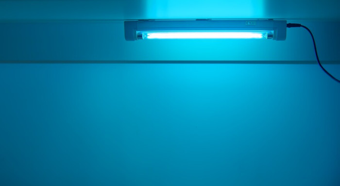 UV Light for Disinfection: Highly Effective Against Candida Auris