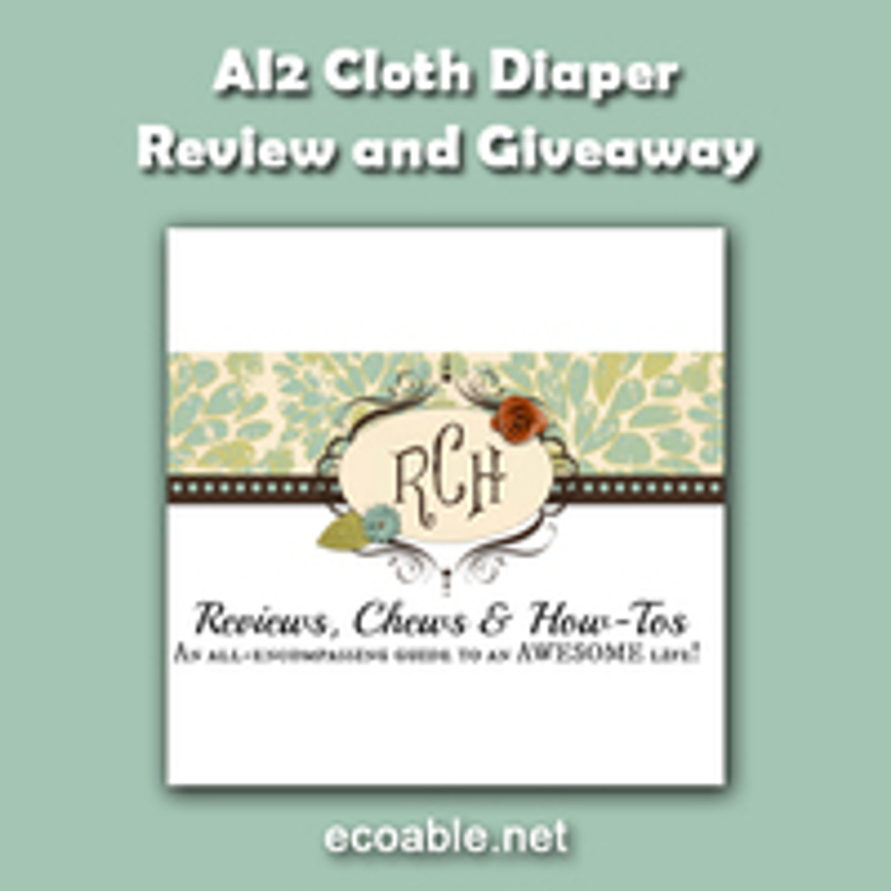 Review & Giveaway: AI2 Cloth Diapers, hosted by "Reviews, Chews and How-to's" blog