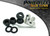 Ford Focus Models Front Lower Engine Mount Kit (PFF19-806)