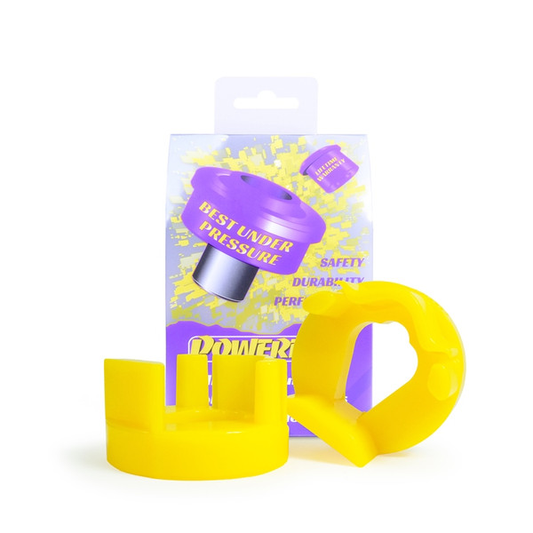 Mini R50/52/53 Gen 1 (2000 - 2006) Lower Engine Mount, Fast Road (PFF5-125)