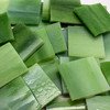 GGG 1" x 1" Fern Green & White Streaky Stained Glass Mosaic Tiles COE 96 (25 tiles)