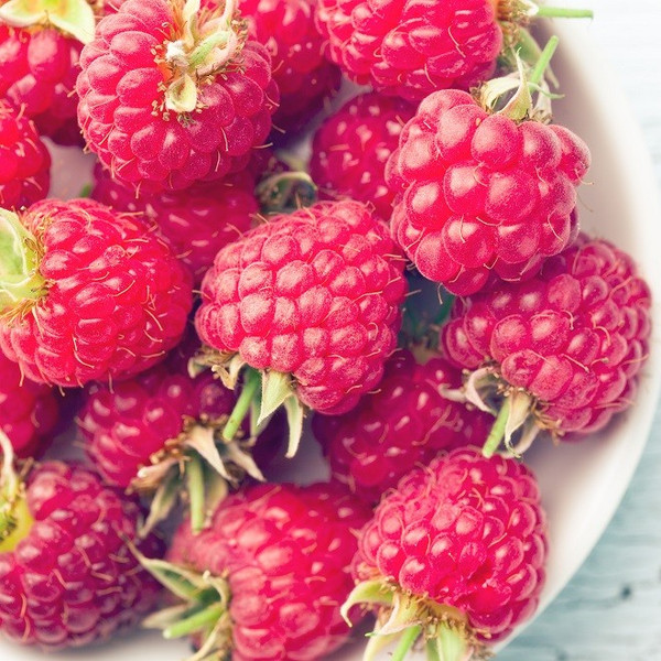 Raspberry Skin Benefits?  California Pure Naturals