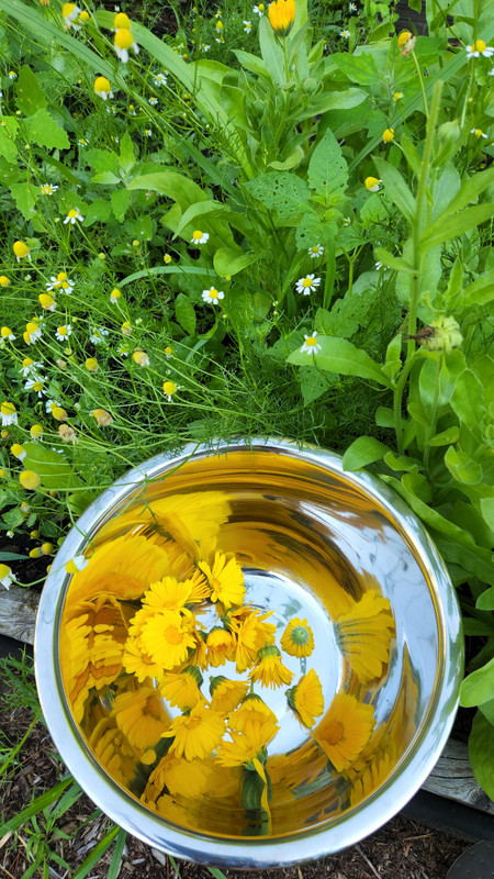 Elemental Botanicals