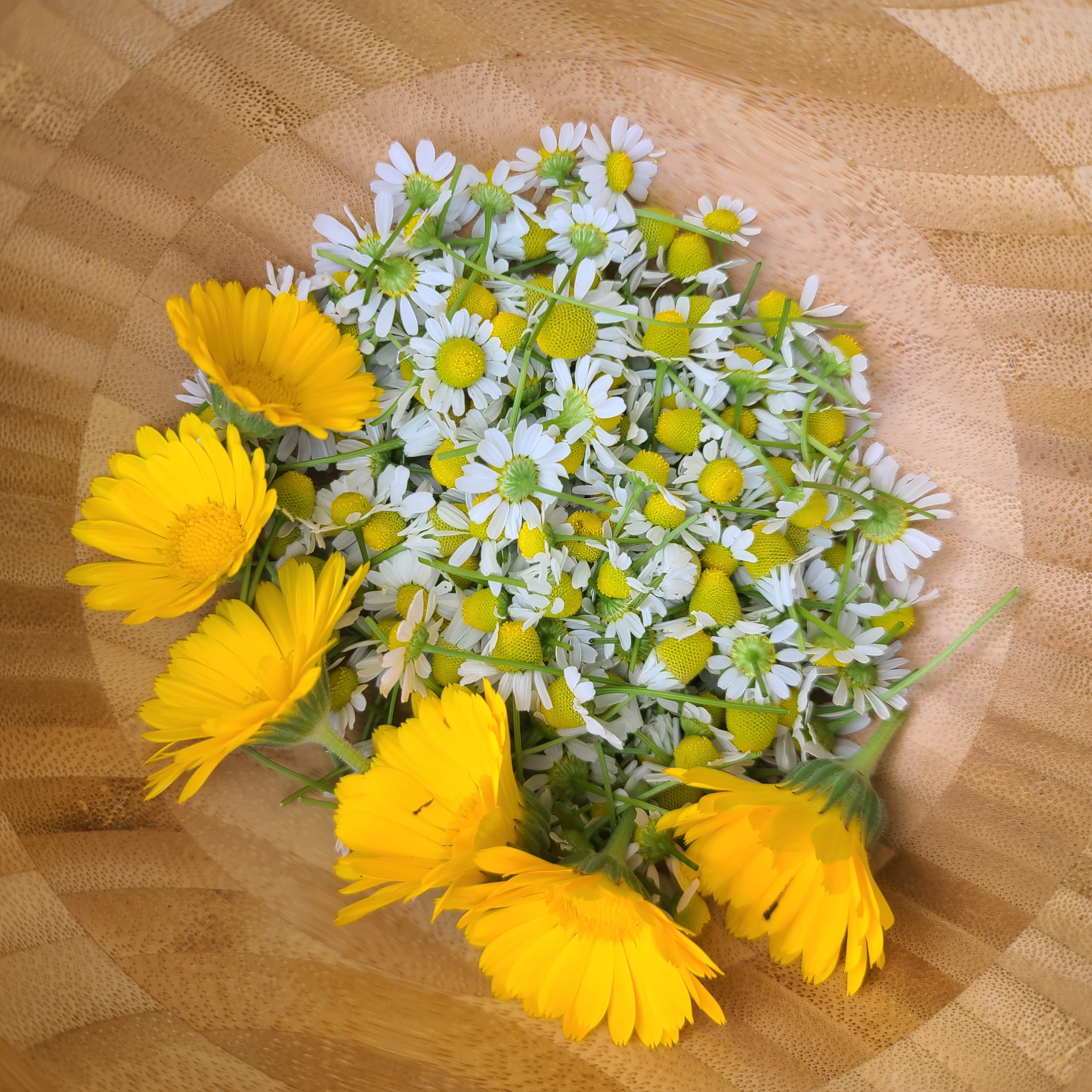 Botanicals in a bowl