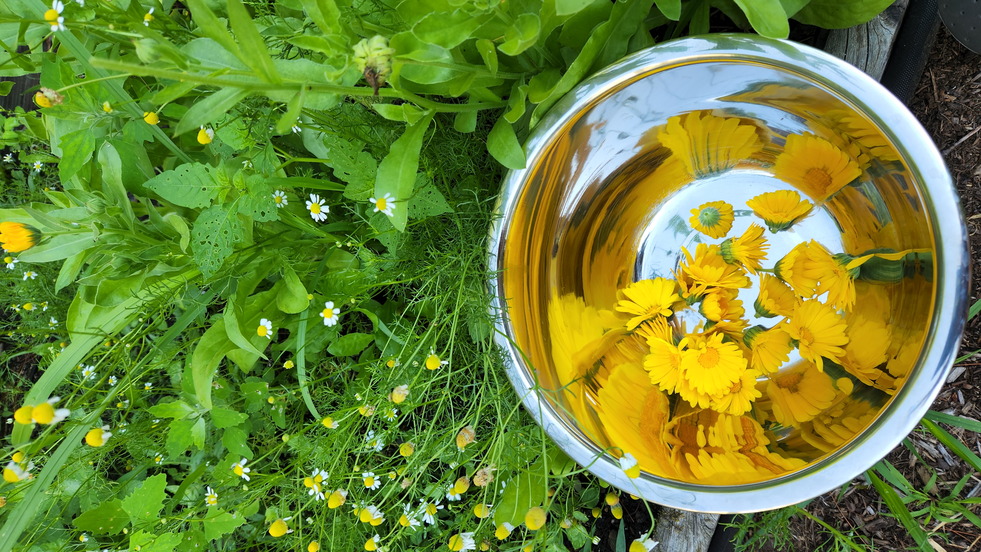 Elemental Botanicals
