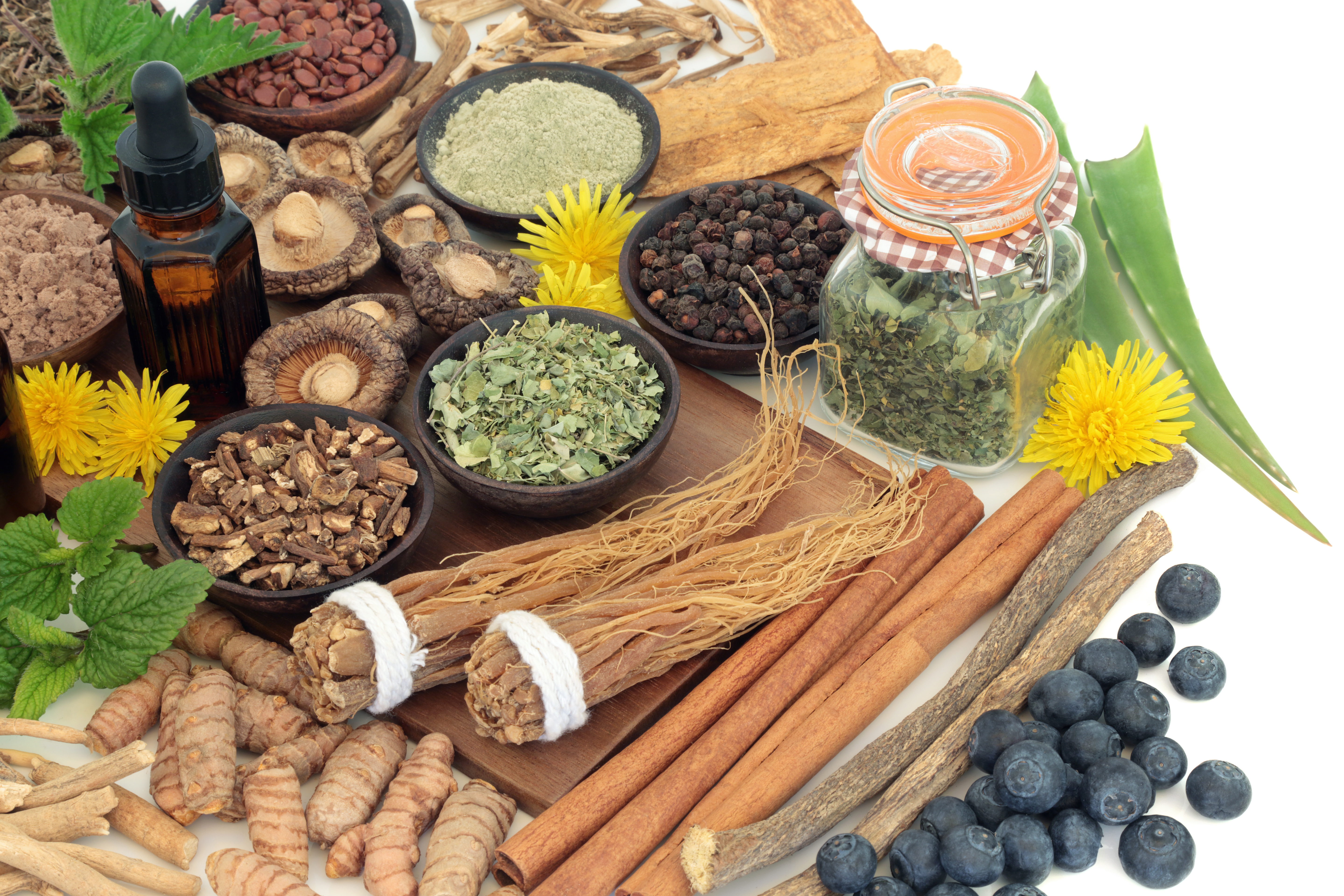The Guide to Adaptogens for Health & Beauty