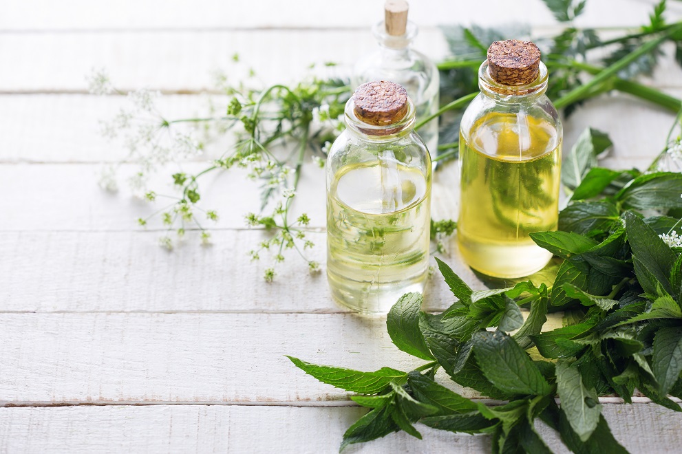 A comprehensive guide to natural beauty oils for skin