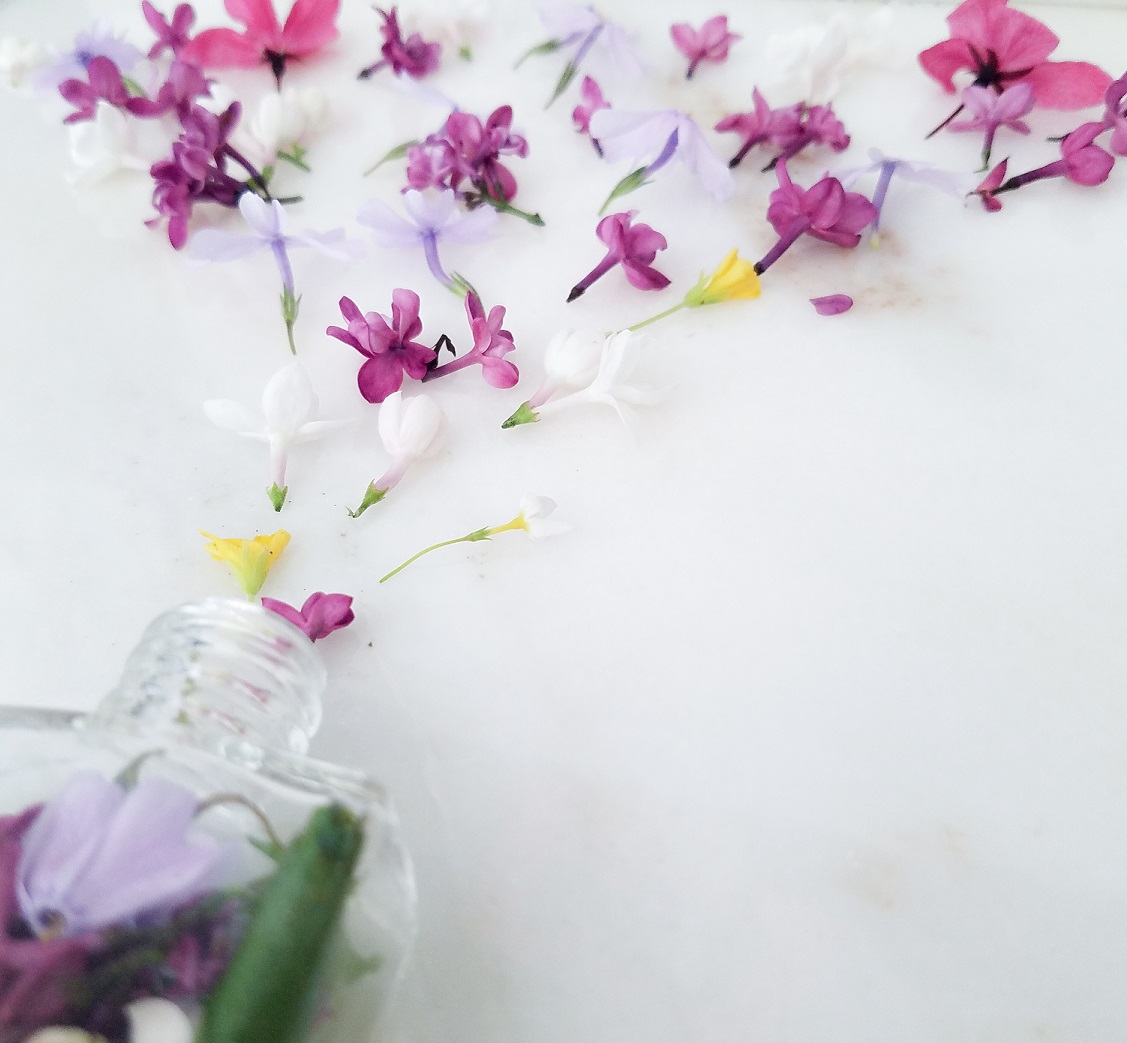 The Ugly Underbelly of the Beauty Industry, which I refuse to Participate in
