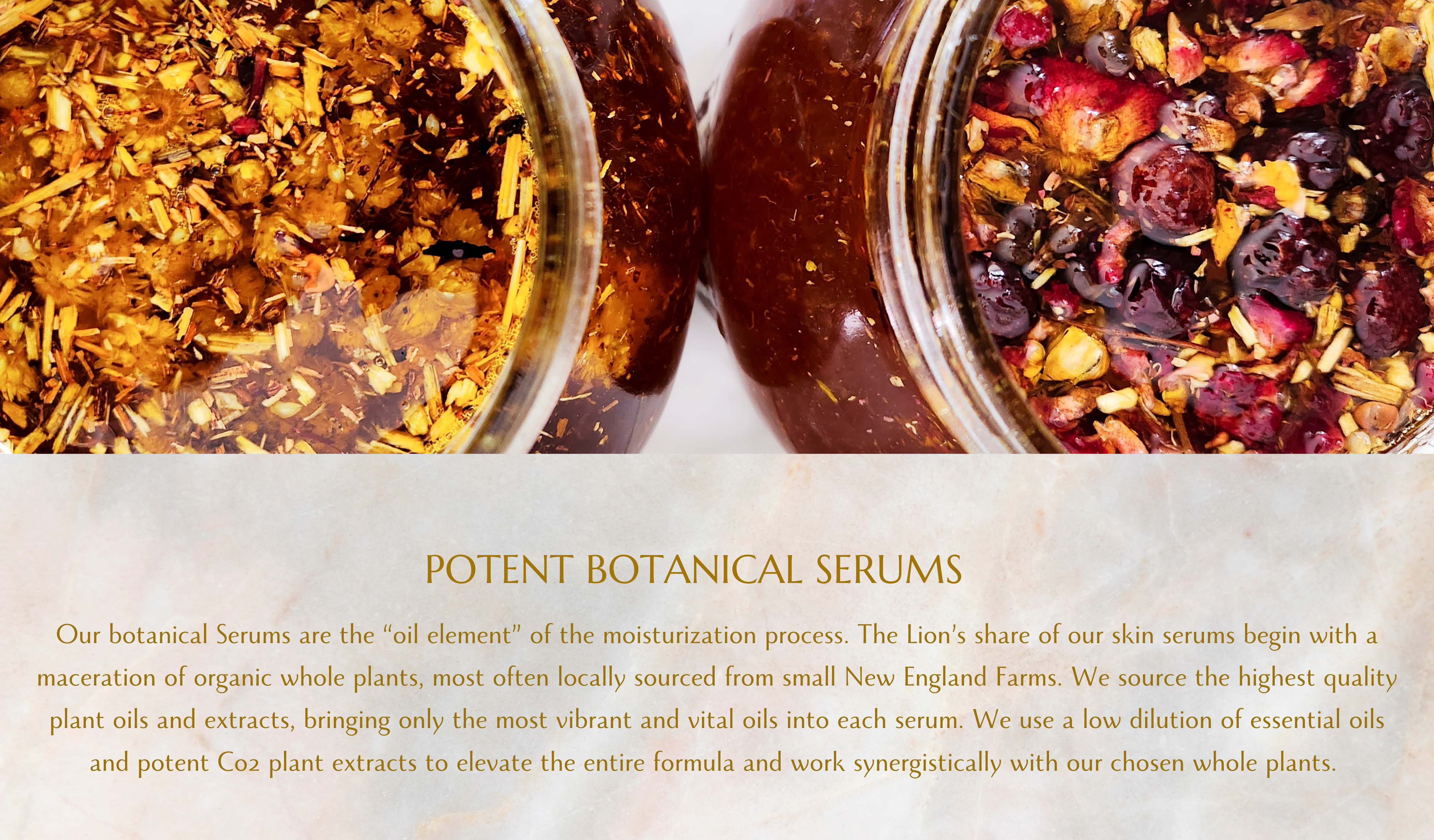 copy-of-serum-banner-4-.png