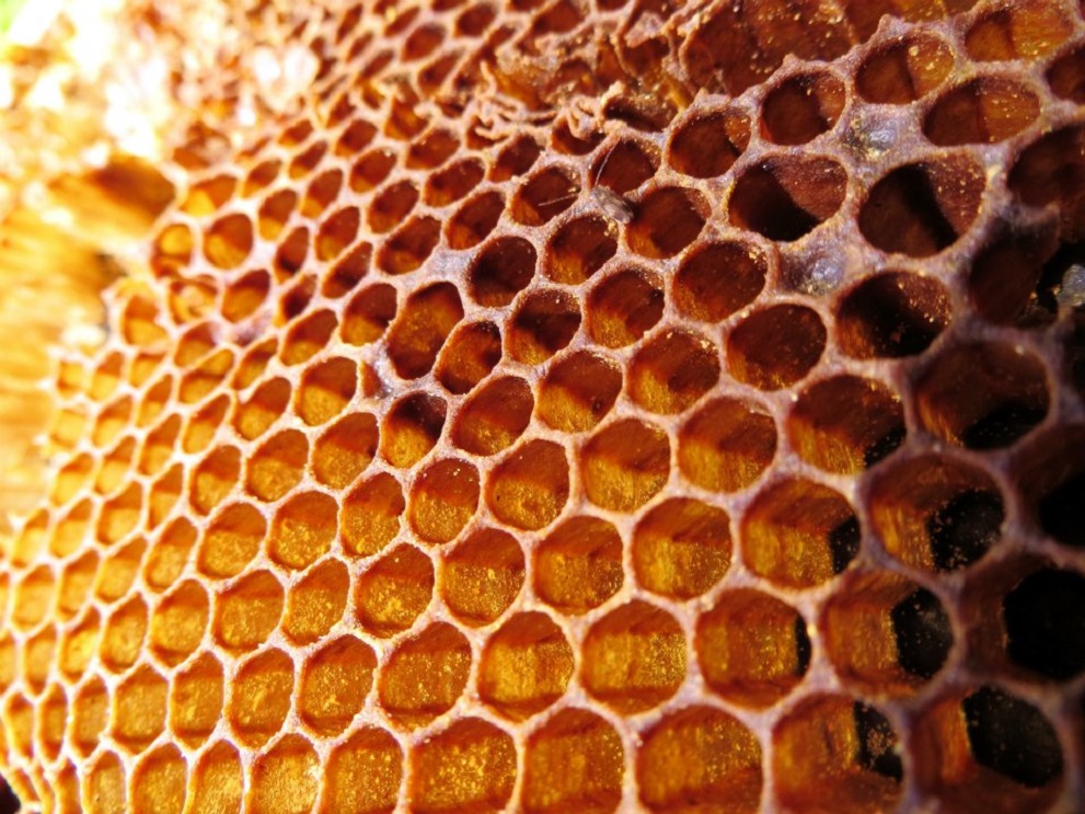 honeycomb.jpg