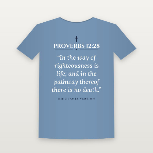 Proverbs 12:28 KJV Christian Toddler Tee (Classic) - Heather Blue