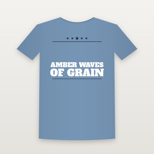 Amber Waves of Grain Patriotic Youth Tee (Star Banner) - Heather Blue
