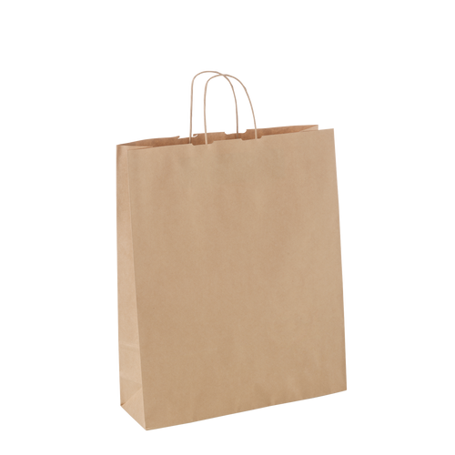 Medium Carry Bag 100GSM Twist Handle