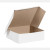 10x10x4 BOX 250 UNITS