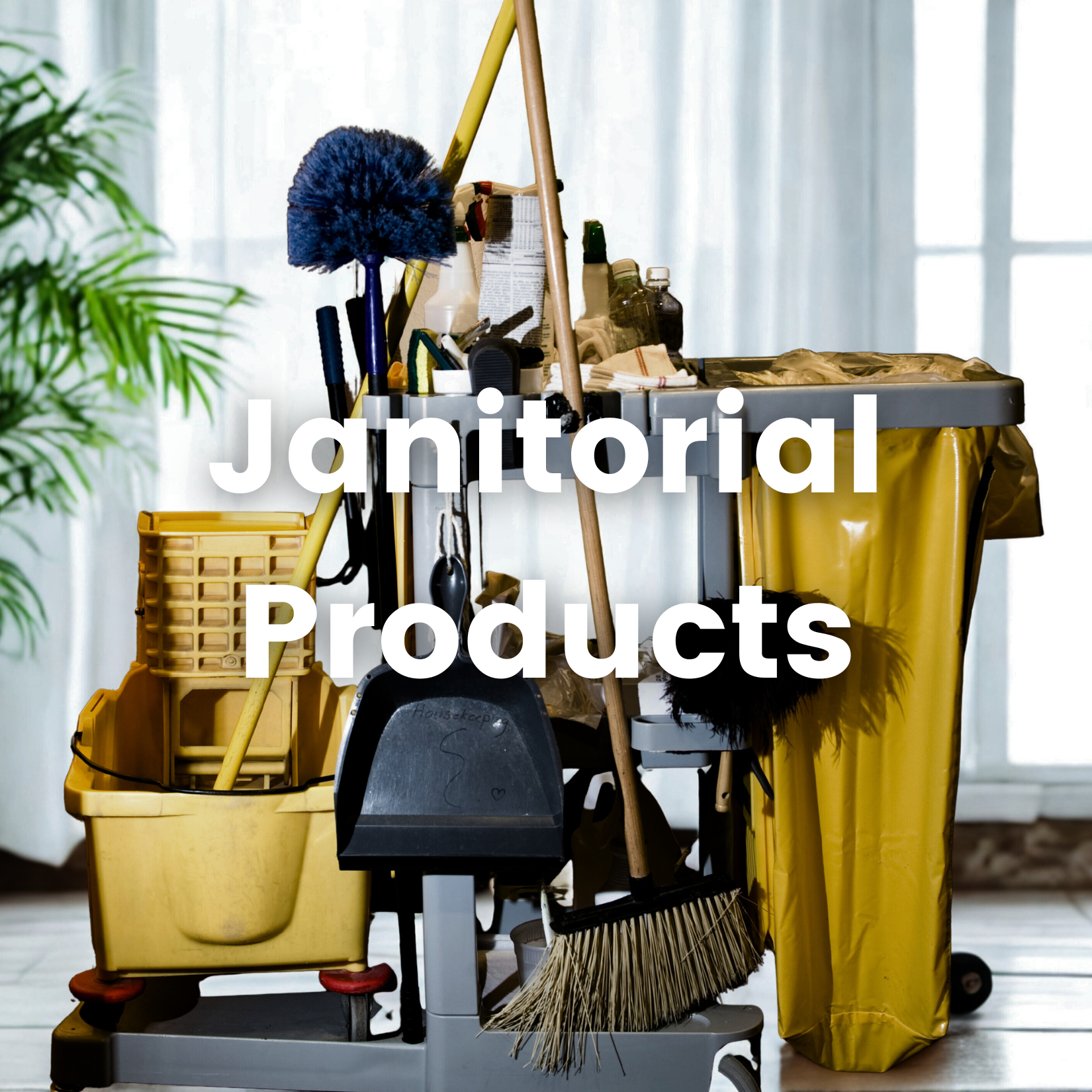 Cleaning, Janitorial and Accessories