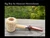 Missouri Meerschaum Big Boy - Corn Cob Pipe