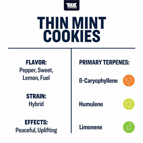 True Terpenes Thin Mint Cookies Profile 4oz